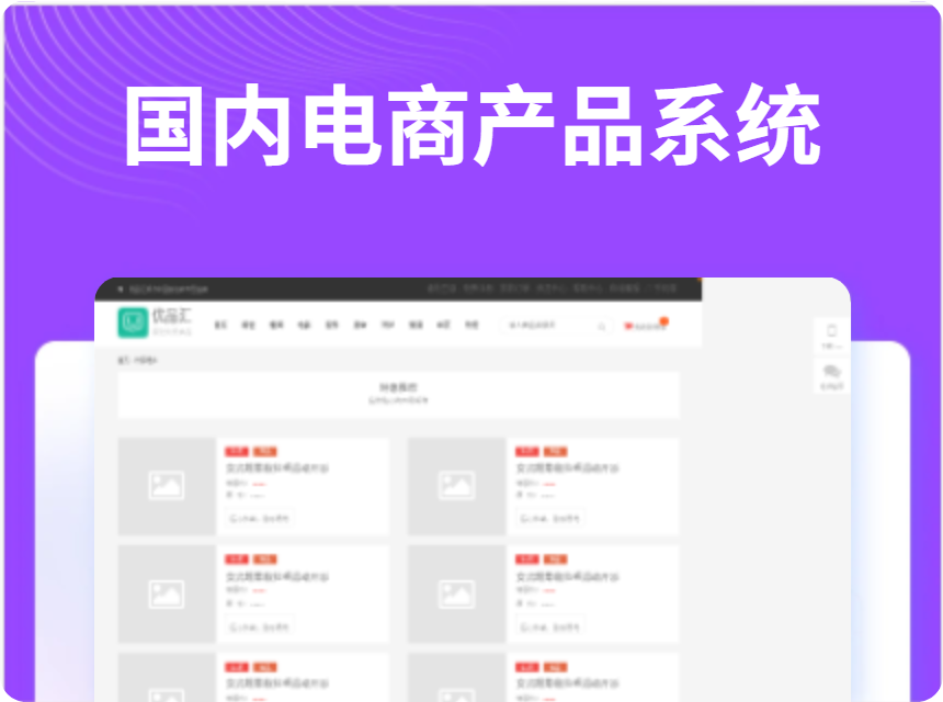 国内电商产品系统网站