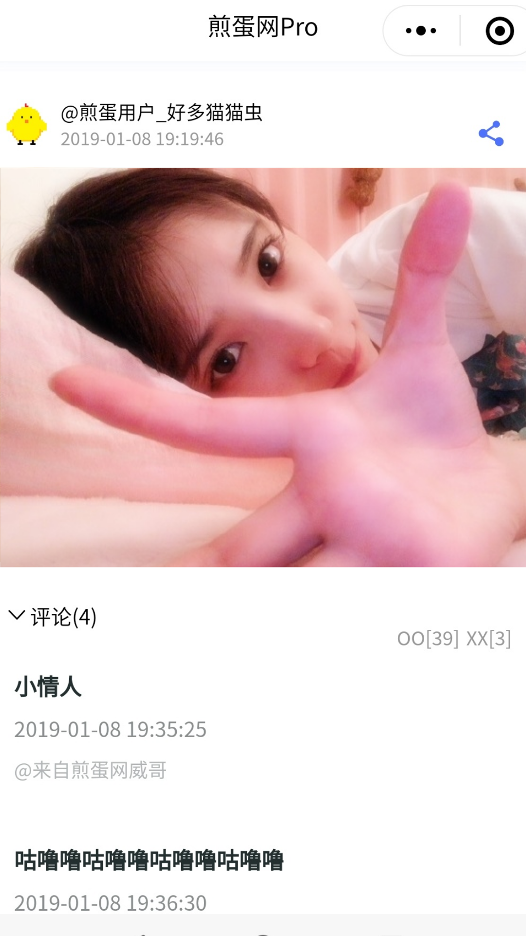 煎蛋网Pro_煎蛋网Pro小程序_煎蛋网Pro微信小程序