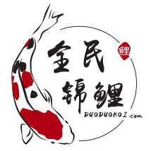全民多多锦鲤_全民多多锦鲤小程序_全民多多锦鲤微信小程序