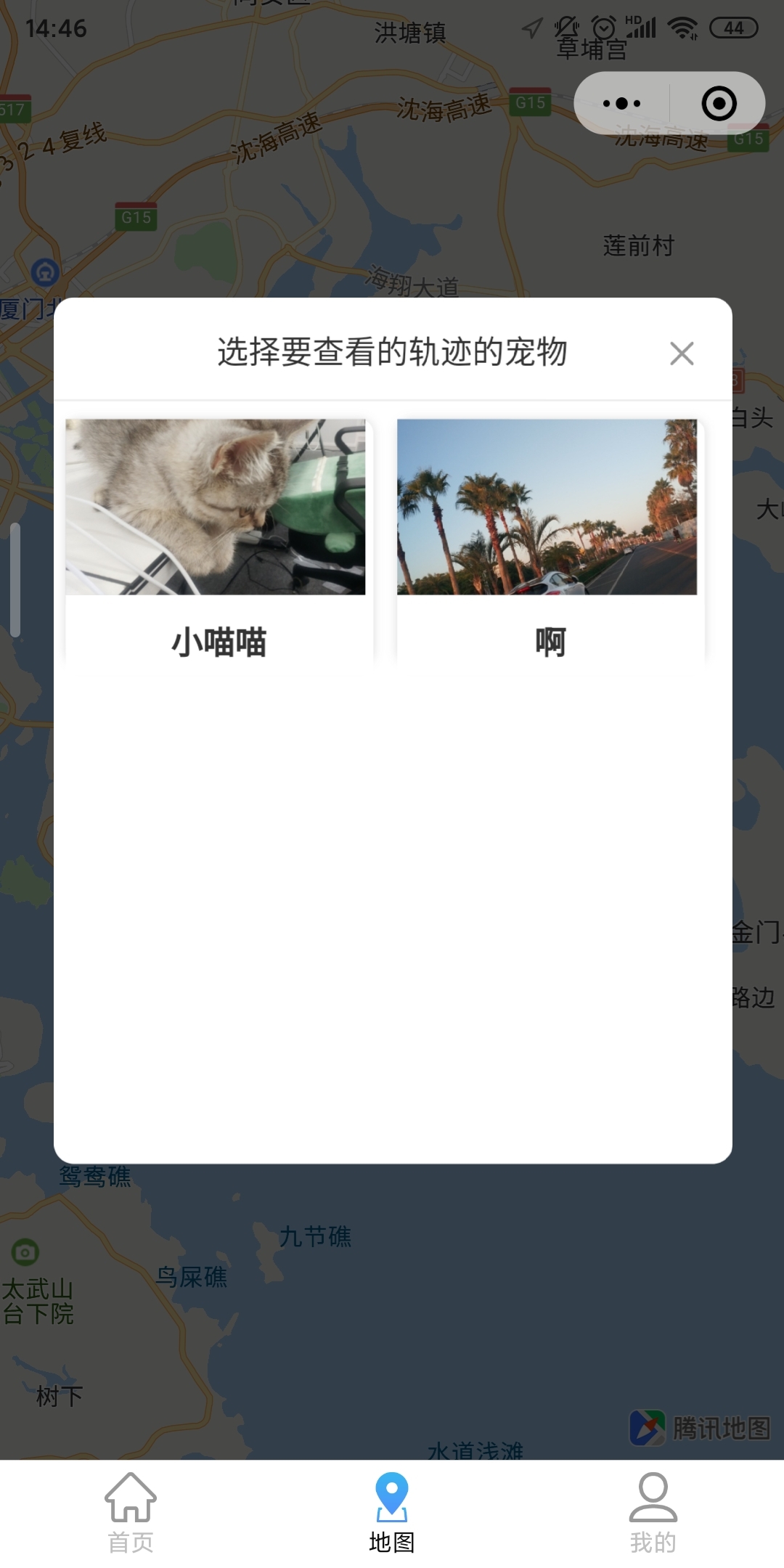 宠物码头_宠物码头小程序_宠物码头微信小程序