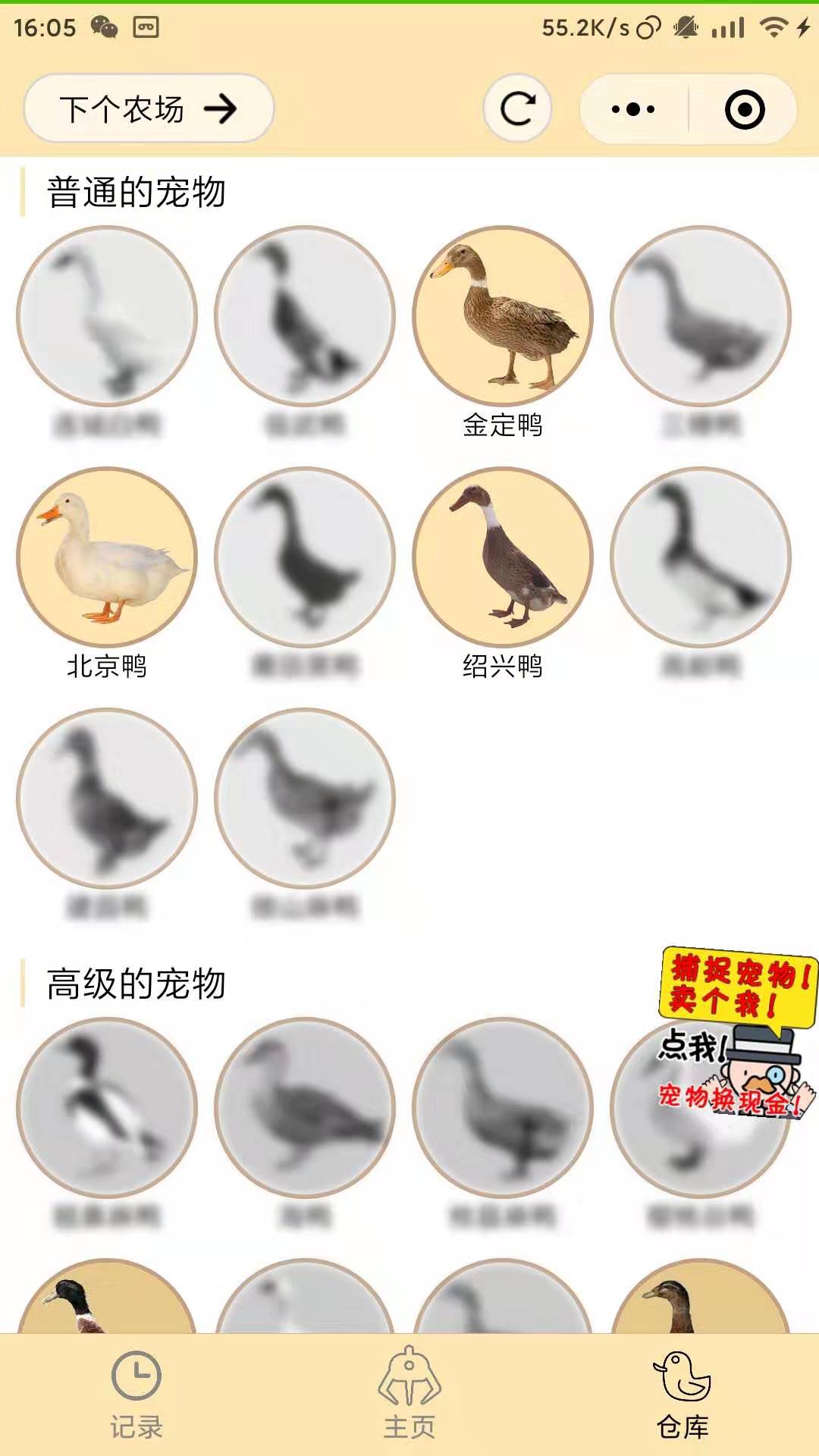 农场鸭席_鸭王是用鸭肉做的吗_农场鸭席_鸭王是用鸭肉做的吗小程序_农场鸭席_鸭王是用鸭肉做的吗微信小程序