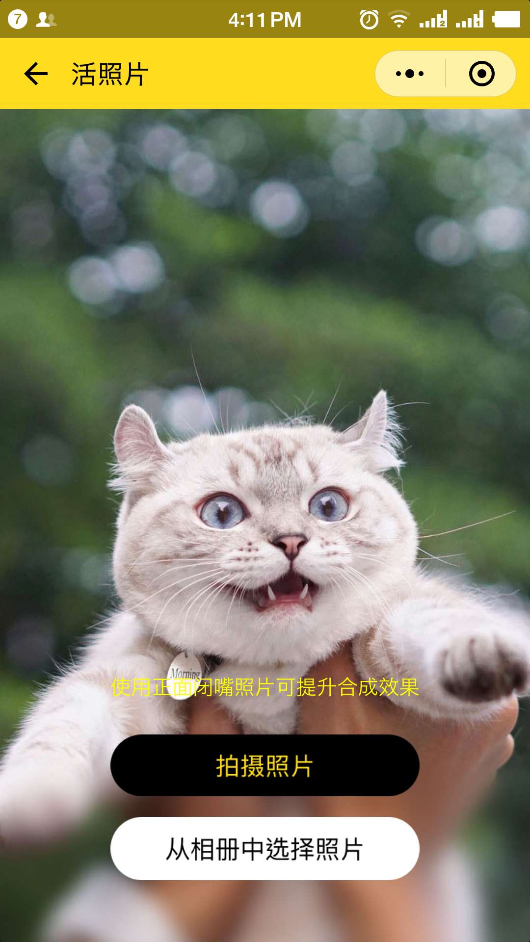 萌宠变戏精_萌宠变戏精小程序_萌宠变戏精微信小程序