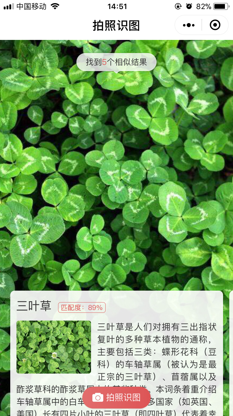 拍照识图_拍照识图小程序_拍照识图微信小程序