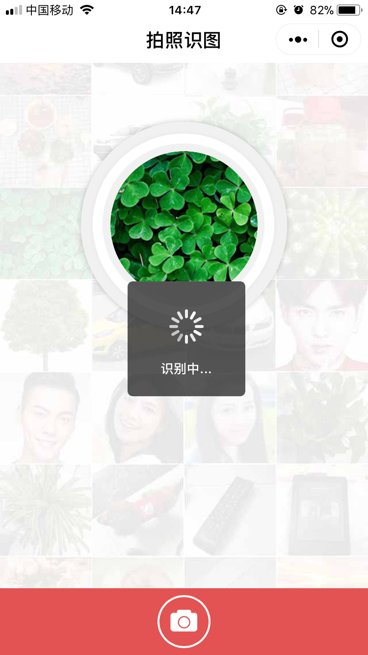 拍照识图_拍照识图小程序_拍照识图微信小程序