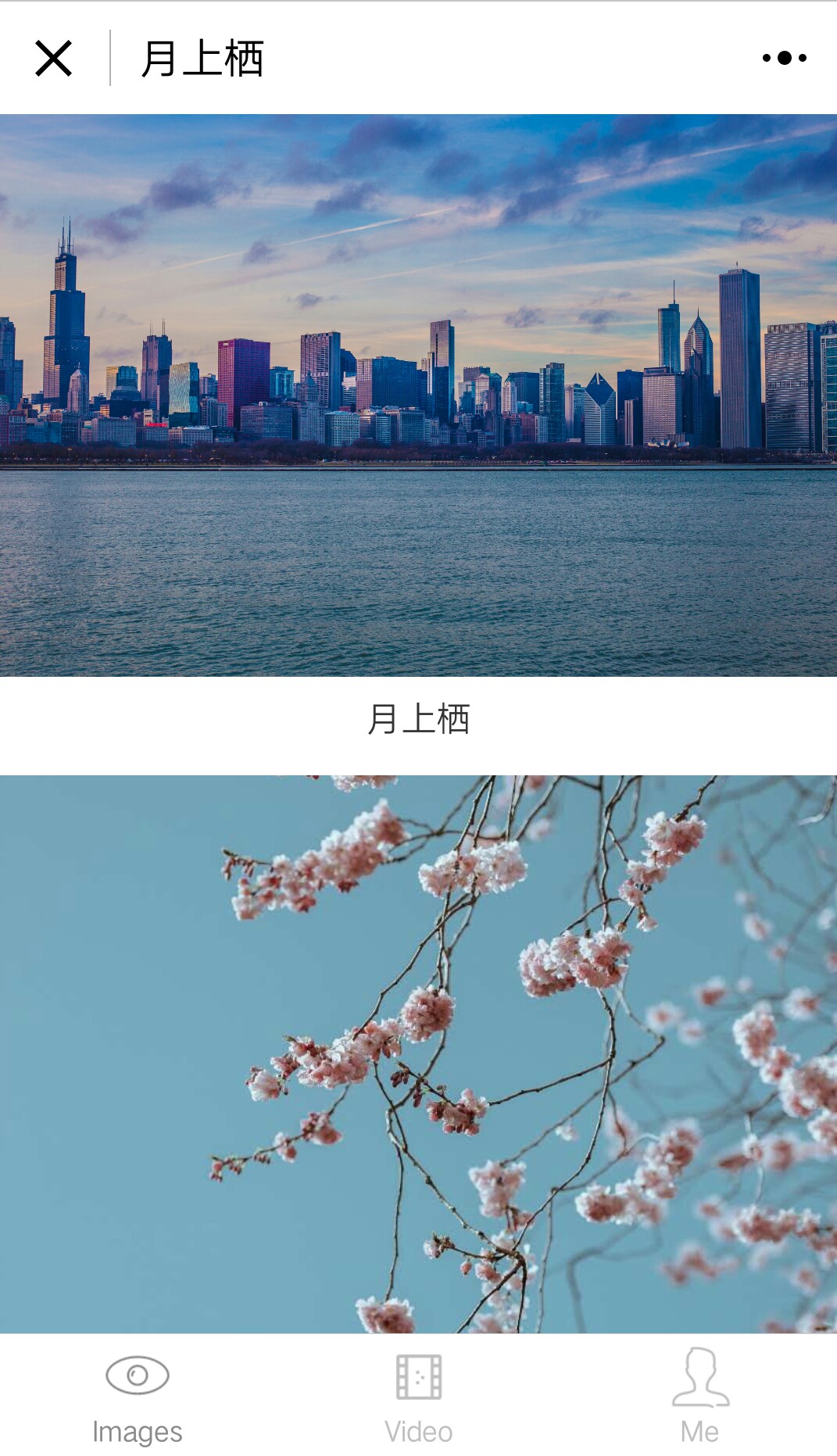 月上栖_月上栖小程序_月上栖微信小程序