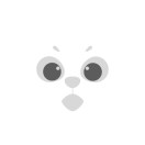足球转会猫_足球转会猫小程序_足球转会猫微信小程序
