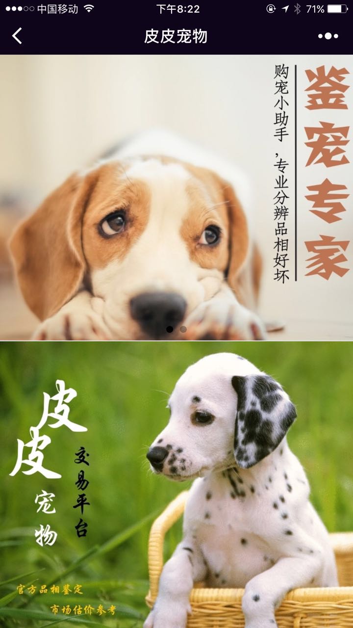皮皮宠物_皮皮宠物小程序_皮皮宠物微信小程序