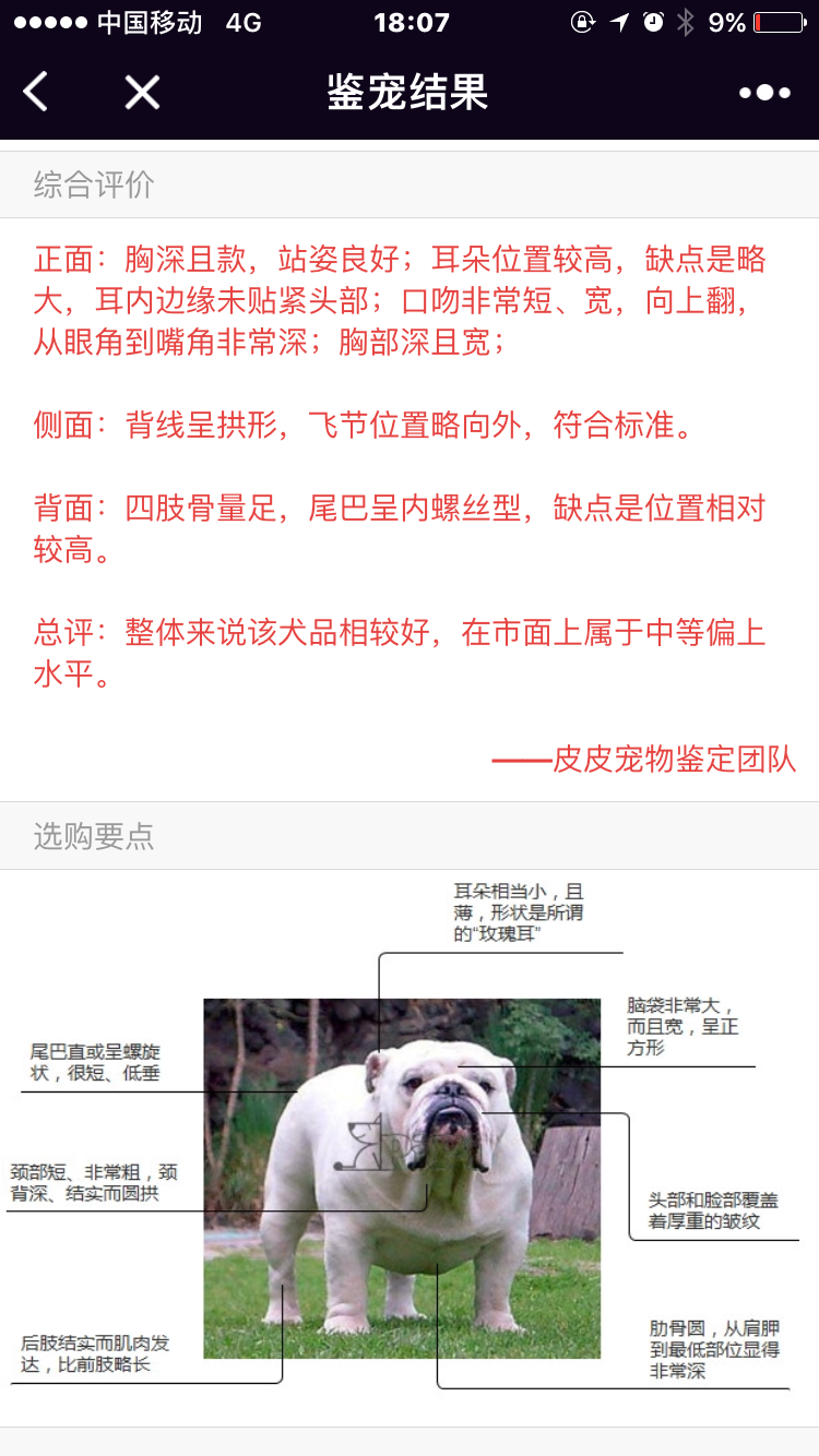皮皮宠物_皮皮宠物小程序_皮皮宠物微信小程序