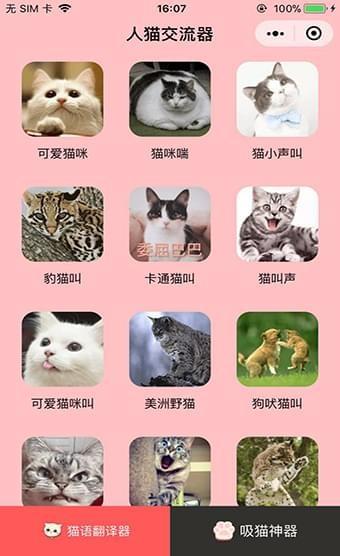 猫语翻译_猫语翻译小程序_猫语翻译微信小程序