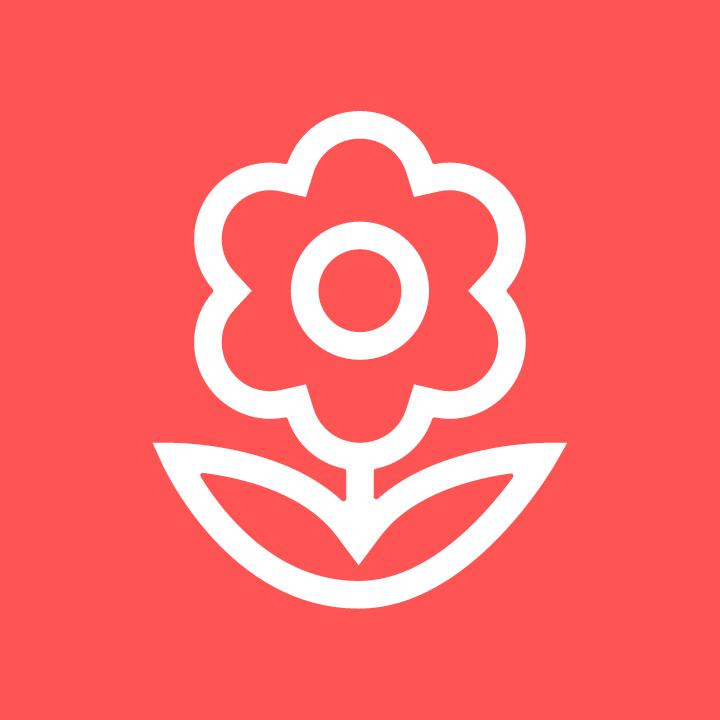 考拉拼颜值_考拉拼颜值小程序_考拉拼颜值微信小程序