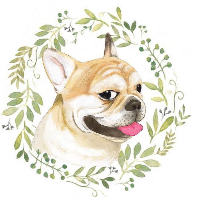 当当遛狗_当当遛狗小程序_当当遛狗微信小程序