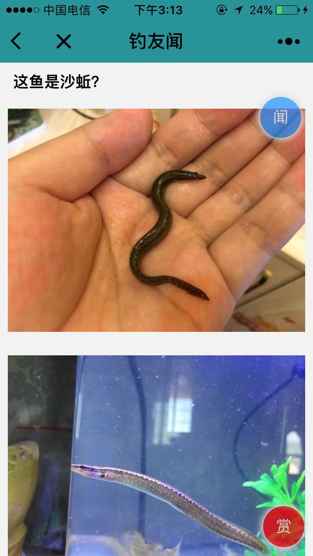钓鱼极客_钓鱼极客小程序_钓鱼极客微信小程序