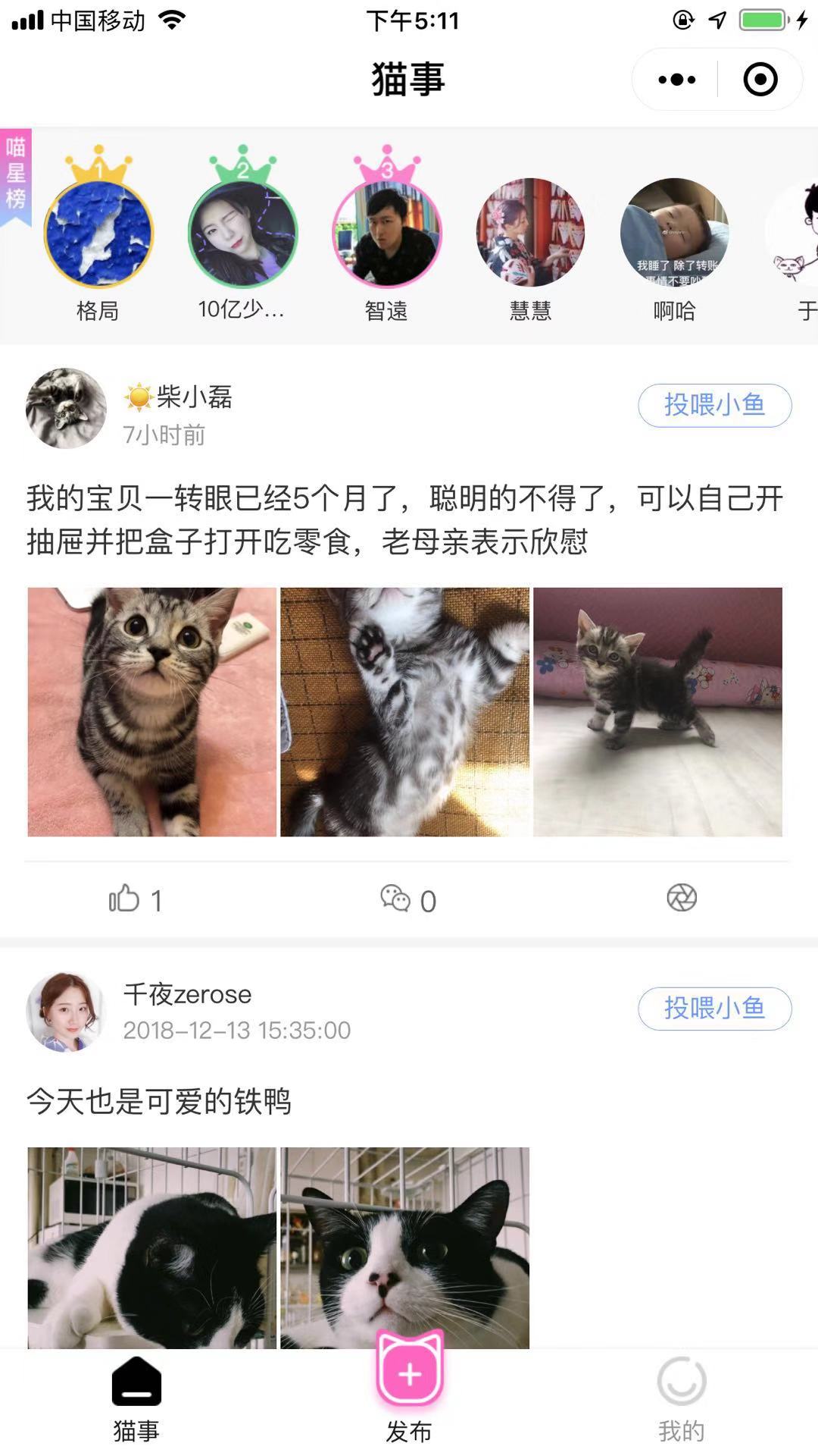 猫事一猫咪宠物社交圈_猫事一猫咪宠物社交圈小程序_猫事一猫咪宠物社交圈微信小程序