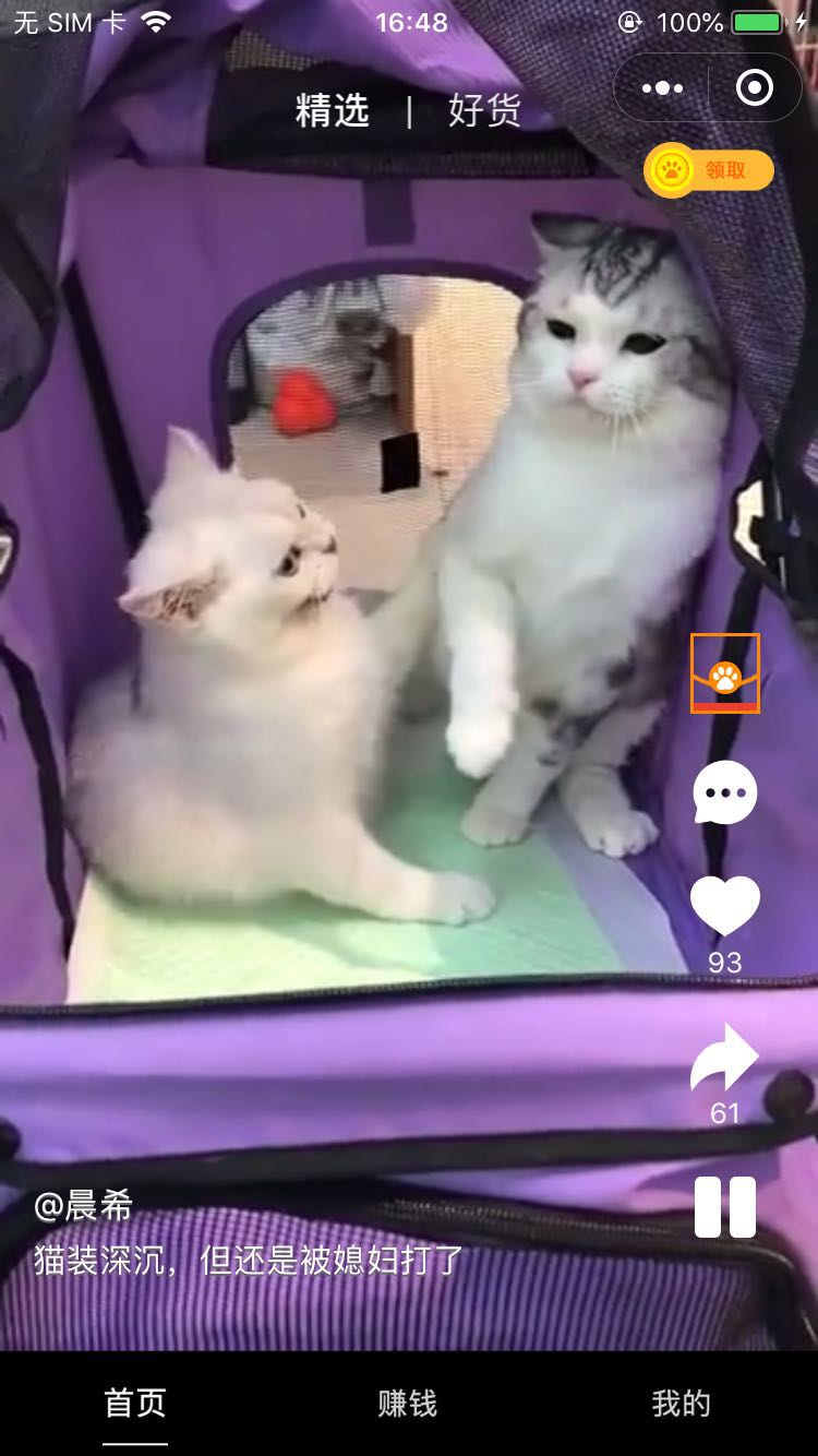 抖萌宠_抖萌宠小程序_抖萌宠微信小程序